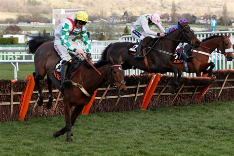 cheltenham race tips today